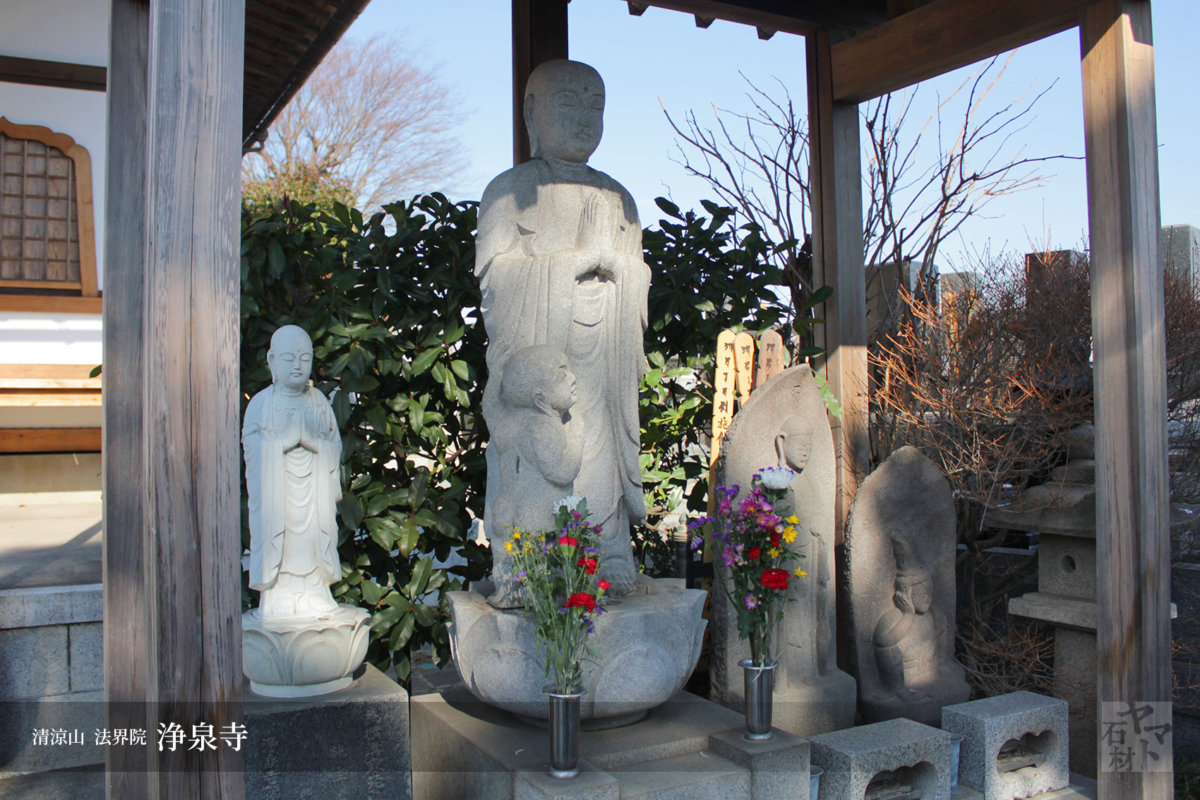 浄泉寺 聖観音像 （浄泉寺さんに行ってまいりました！ 出会い編